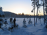 Finnisch Lappland - Huskytour