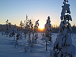Finnisch Lappland - Huskytour