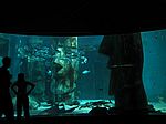 London Aquarium
