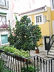 Lissabon - Alfama