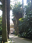 Lissabon - Jardim Botanico von 1840, direkt an der Escola Politécnica