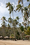 Playa Medina - vielleicht der schönste Strand in ganz Venezuela