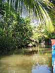 Im Mekong-Delta - In einem Nebenarm