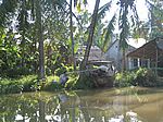 Im Mekong-Delta - In einem Nebenarm