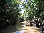 Im Mekong-Delta - In einem Nebenarm