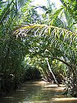 Im Mekong-Delta - In einem Nebenarm