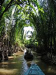 Im Mekong-Delta - In einem Nebenarm