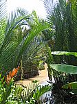 Im Mekong-Delta - In einem Nebenarm